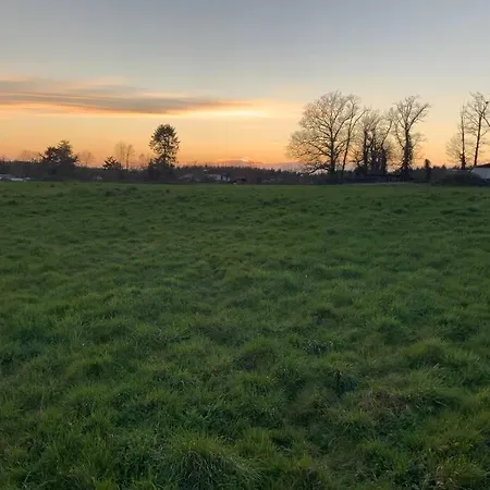 Dugal * Chirac (Charente)