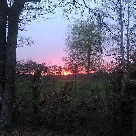 Dugal * Chirac (Charente)