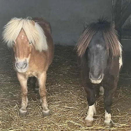 Dugal Сasa de vacaciones Chirac (Charente)