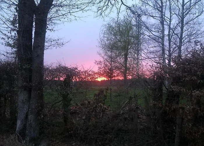 Dugal * Chirac (Charente)