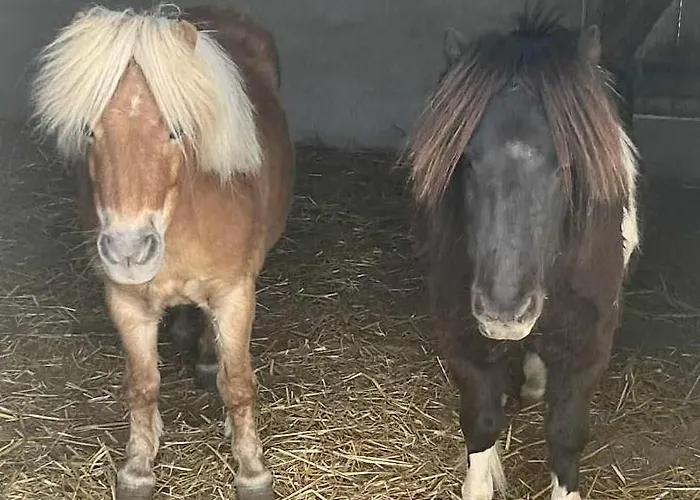 Dugal Casa de Férias Chirac (Charente)