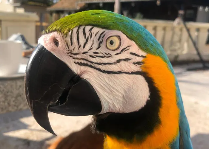 Dugal Casa de Férias *